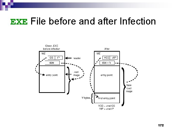 EXE File before and after Infection 172 