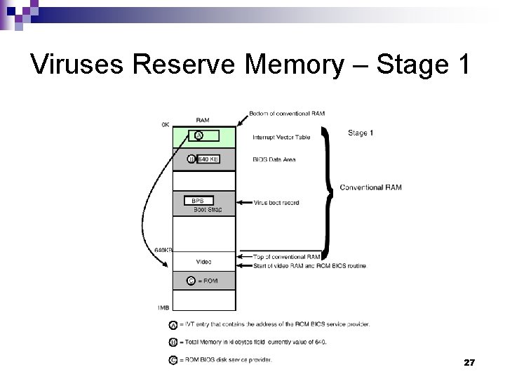 Viruses Reserve Memory – Stage 1 27 