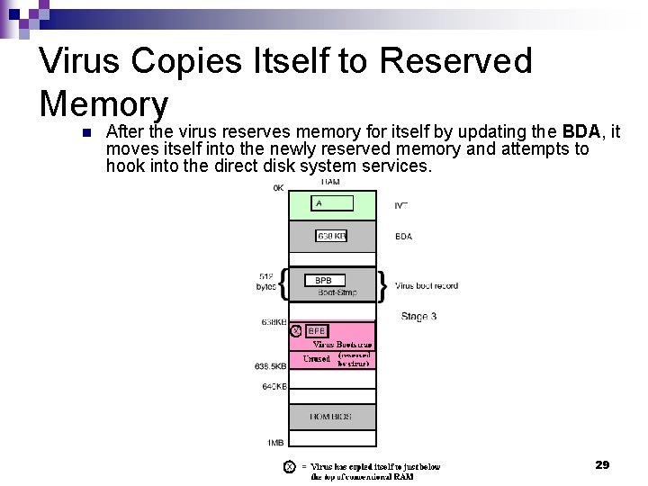 Virus Copies Itself to Reserved Memory n After the virus reserves memory for itself