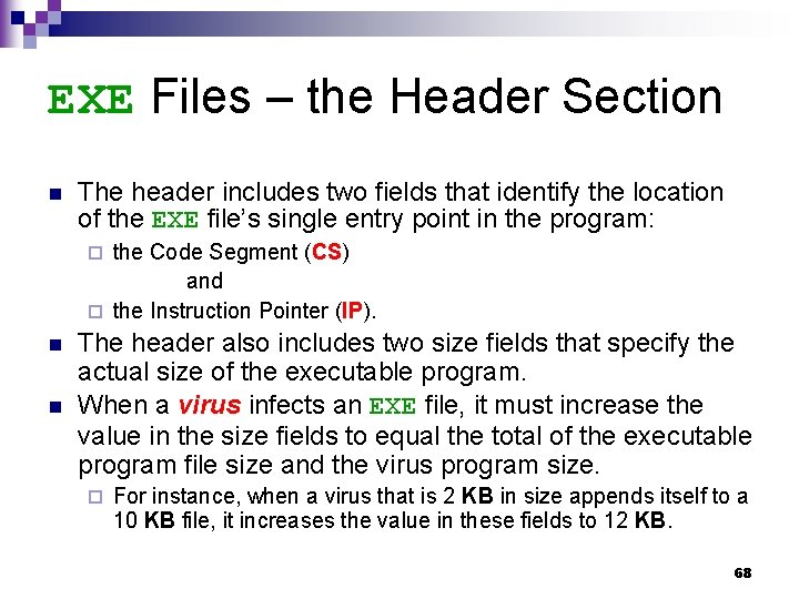 EXE Files – the Header Section n The header includes two fields that identify