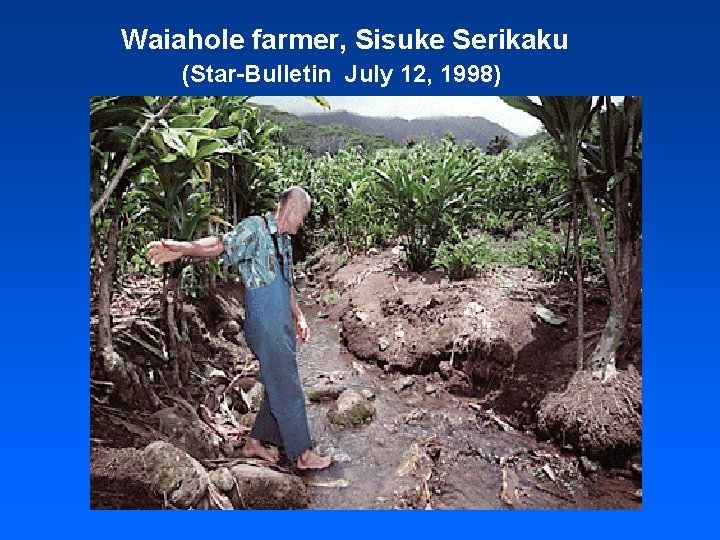 Waiahole farmer, Sisuke Serikaku (Star-Bulletin July 12, 1998) 