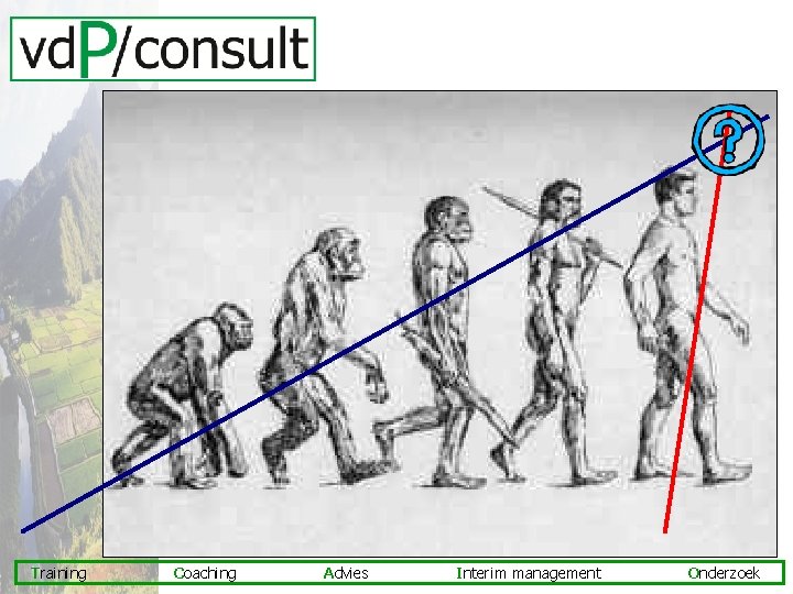 Training Coaching Advies Interim management Onderzoek 