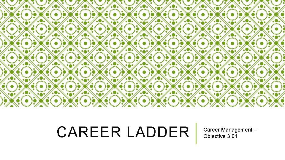 CAREER LADDER Career Management – Objective 3. 01 