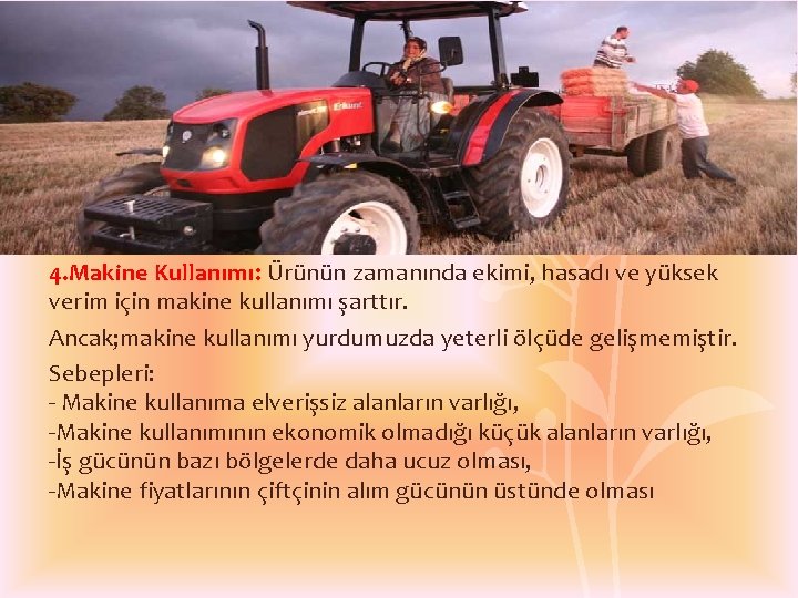  4. Makine Kullanımı: Ürünün zamanında ekimi, hasadı ve yüksek verim için makine kullanımı