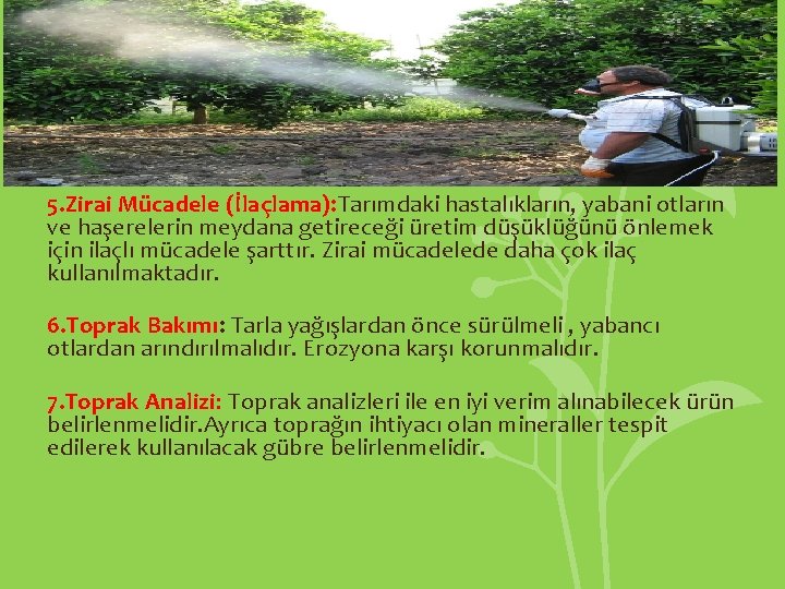 5. Zirai Mücadele (İlaçlama): Tarımdaki hastalıkların, yabani otların ve haşerelerin meydana getireceği üretim düşüklüğünü