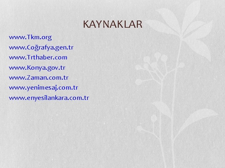 KAYNAKLAR www. Tkm. org www. Coğrafya. gen. tr www. Trthaber. com www. Konya. gov.