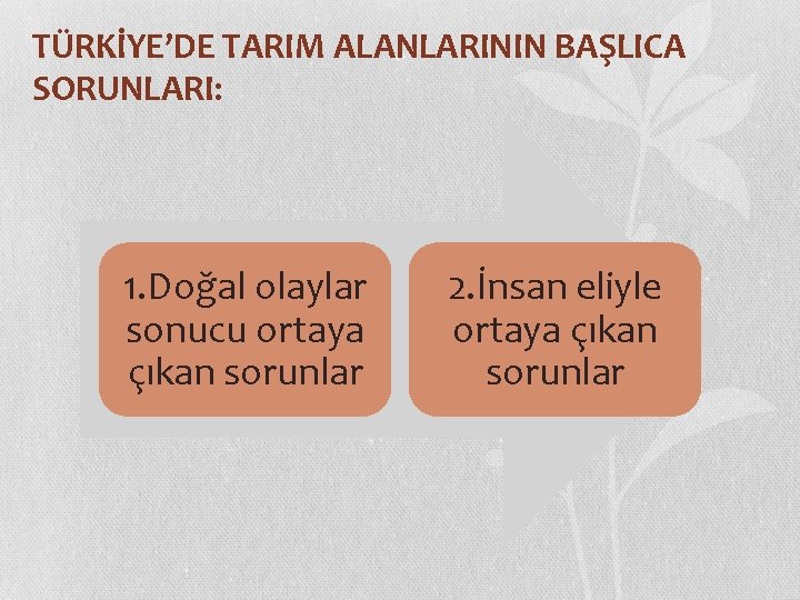 TÜRKİYE’DE TARIM ALANLARININ BAŞLICA SORUNLARI: 1. Doğal olaylar sonucu ortaya çıkan sorunlar 2. İnsan