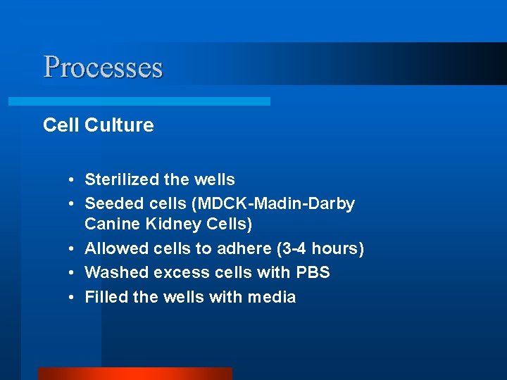 Processes Cell Culture • Sterilized the wells • Seeded cells (MDCK-Madin-Darby Canine Kidney Cells)