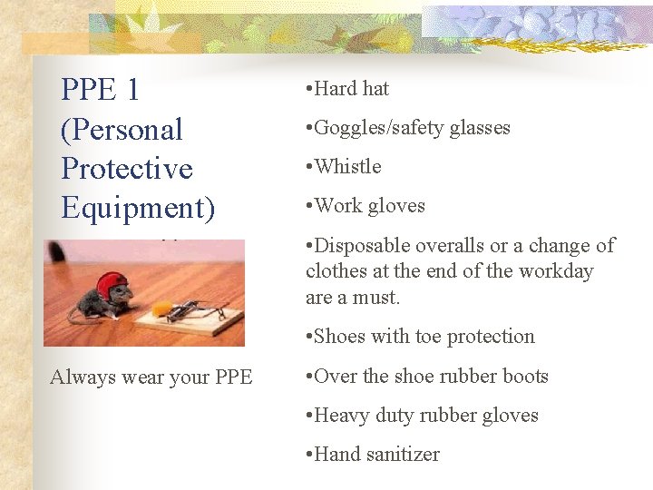 PPE 1 (Personal Protective Equipment) • Hard hat • Goggles/safety glasses • Whistle •