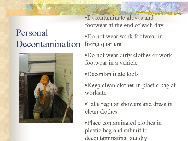 Personal Decontamination • Decontaminate gloves and footwear at the end of each day •