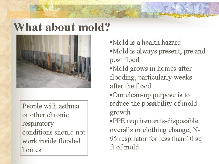 What about mold? People with asthma or other chronic respiratory conditions should not work