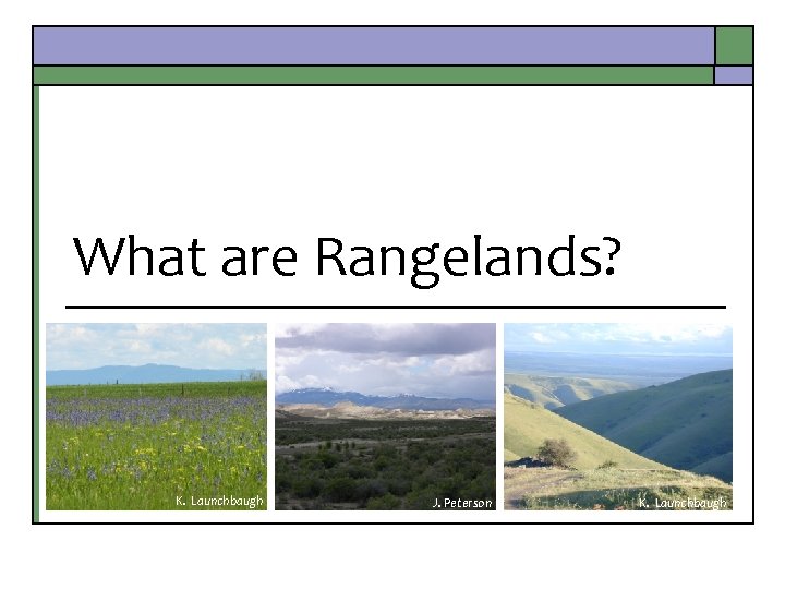 What are Rangelands? K. Launchbaugh J. Peterson K. Launchbaugh 