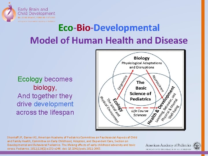 Eco-Bio-Developmental Model of Human Health and Disease Ecology becomes biology, And together they drive