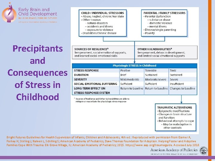 Precipitants and Consequences of Stress in Childhood Bright Futures Guidelines for Health Supervision of