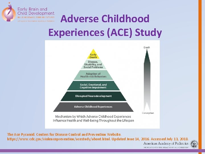 Adverse Childhood Experiences (ACE) Study The Ace Pyramid. Centers for Disease Control and Prevention