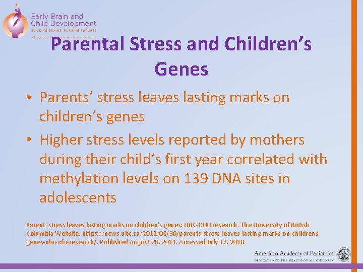 Parental Stress and Children’s Genes • Parents’ stress leaves lasting marks on children’s genes