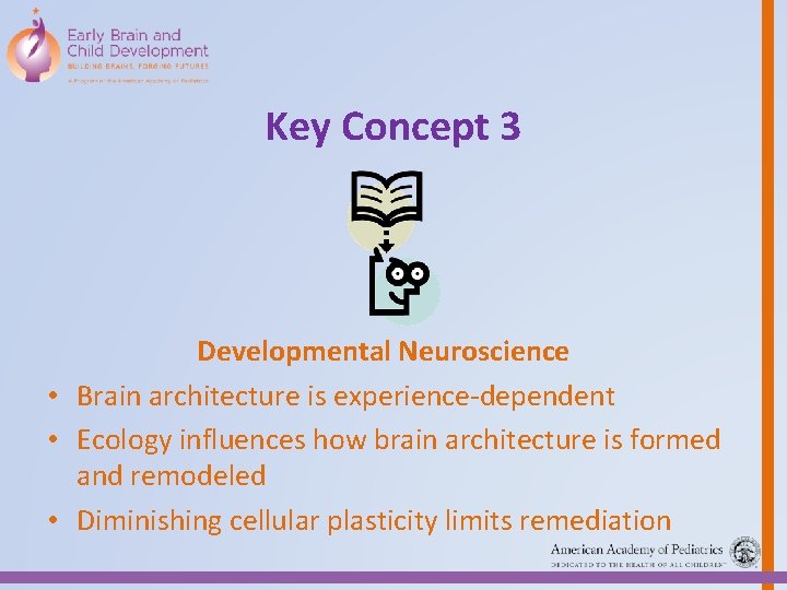 Key Concept 3 Developmental Neuroscience • Brain architecture is experience-dependent • Ecology influences how