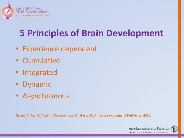 5 Principles of Brain Development • • • Experience dependent Cumulative Integrated Dynamic Asynchronous