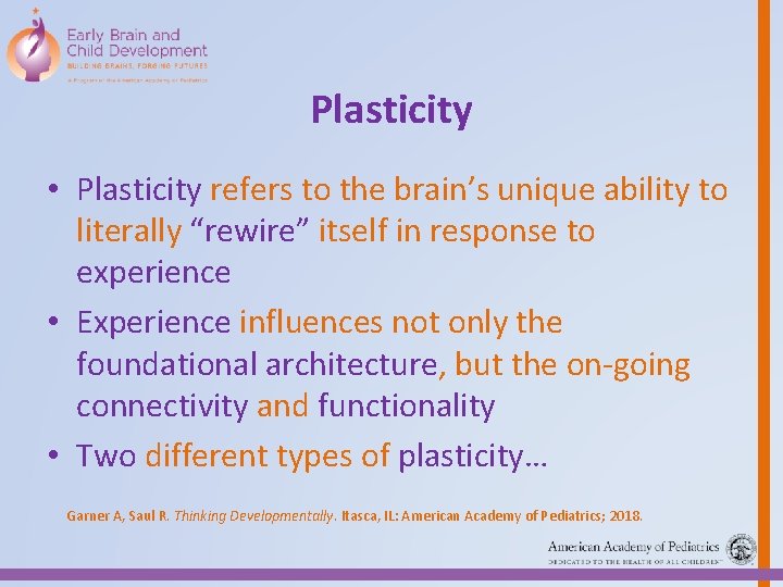 Plasticity • Plasticity refers to the brain’s unique ability to literally “rewire” itself in