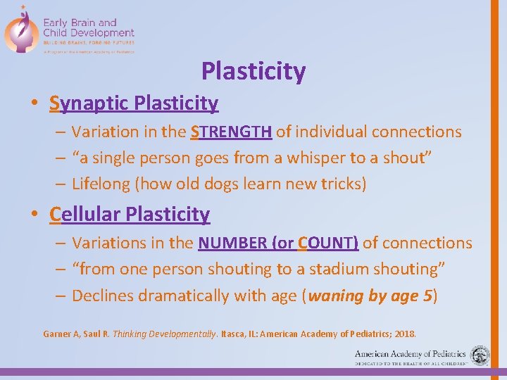 Plasticity • Synaptic Plasticity – Variation in the STRENGTH of individual connections – “a