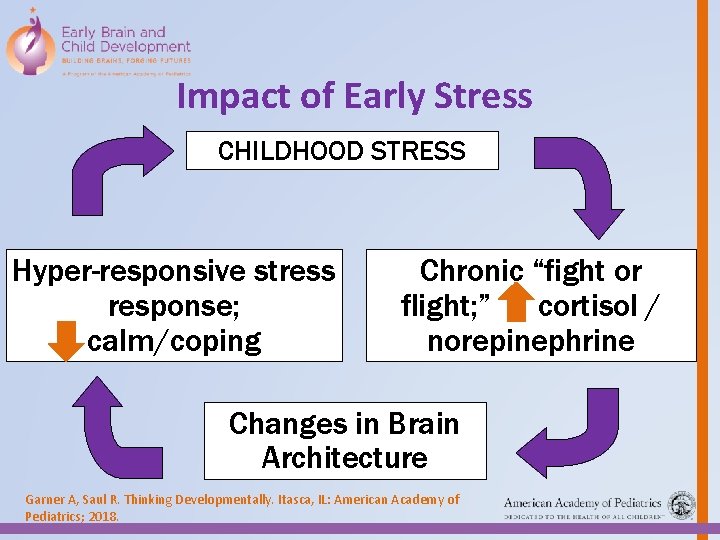 Impact of Early Stress CHILDHOOD TOXIC STRESS Hyper-responsive stress response; calm/coping Chronic “fight or