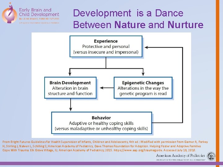 Development is a Dance Between Nature and Nurture From Bright Futures Guidelines for Health
