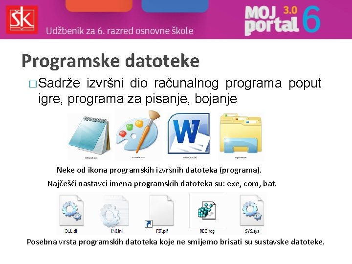 Programske datoteke � Sadrže izvršni dio računalnog programa poput igre, programa za pisanje, bojanje