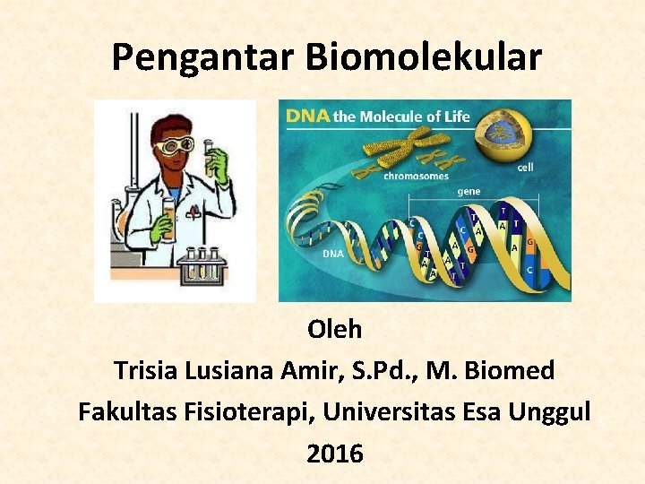Pengantar Biomolekular Oleh Trisia Lusiana Amir, S. Pd. , M. Biomed Fakultas Fisioterapi, Universitas