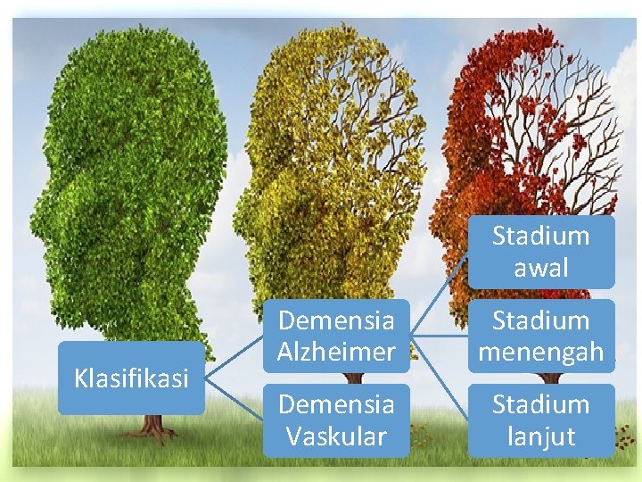 Stadium awal Klasifikasi Demensia Alzheimer Stadium menengah Demensia Vaskular Stadium lanjut 