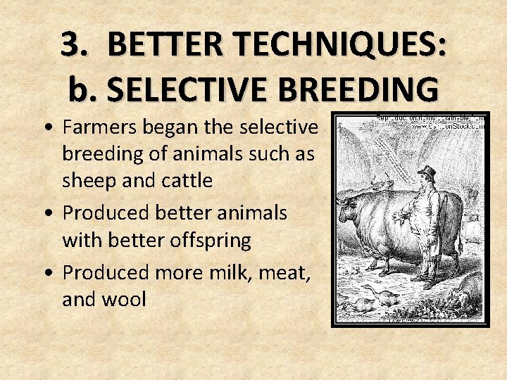 3. BETTER TECHNIQUES: b. SELECTIVE BREEDING • Farmers began the selective breeding of animals 3. BETTER TECHNIQUES: b. SELECTIVE BREEDING • Farmers began the selective breeding of animals