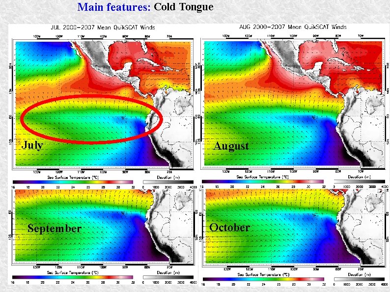 Main features: Cold Tongue July September August October Main features: Cold Tongue July September August October