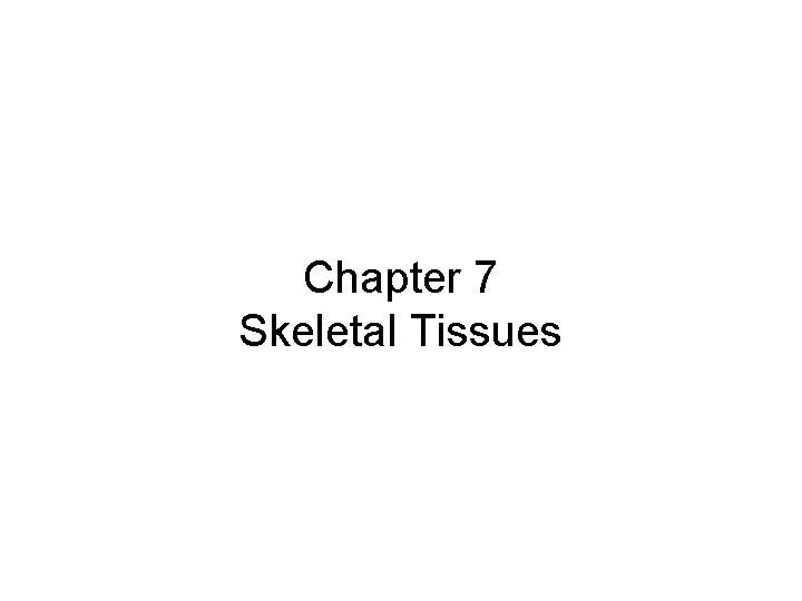 Chapter 7 Skeletal Tissues 