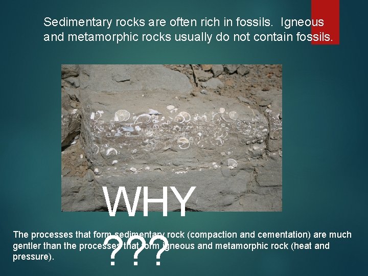 Sedimentary rocks are often rich in fossils. Igneous and metamorphic rocks usually do not