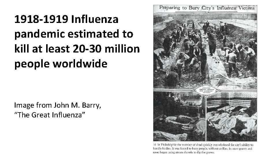 1918 -1919 Influenza pandemic estimated to kill at least 20 -30 million people worldwide