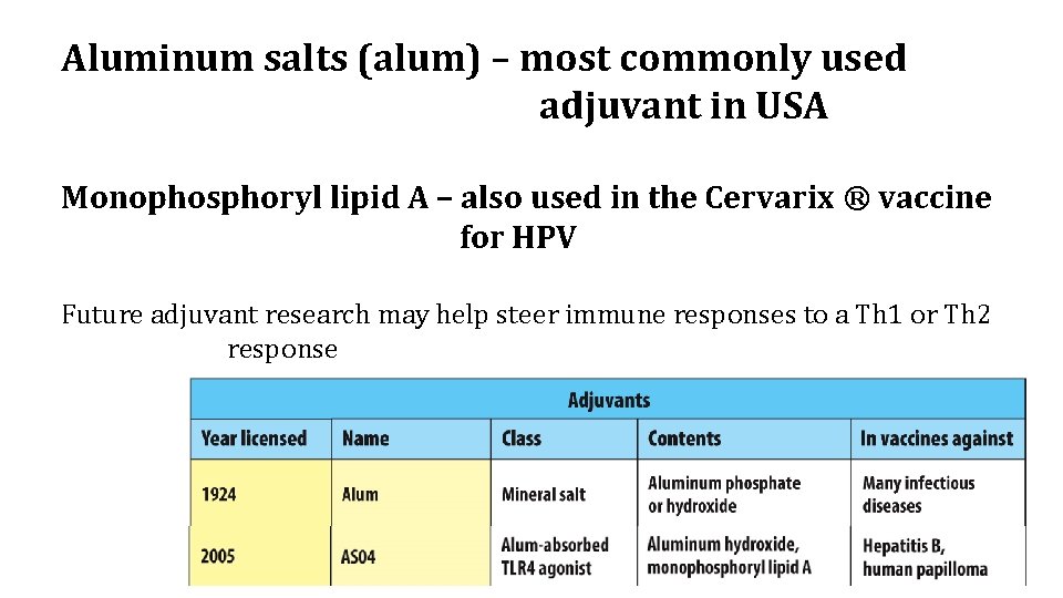 Aluminum salts (alum) – most commonly used adjuvant in USA Monophosphoryl lipid A –