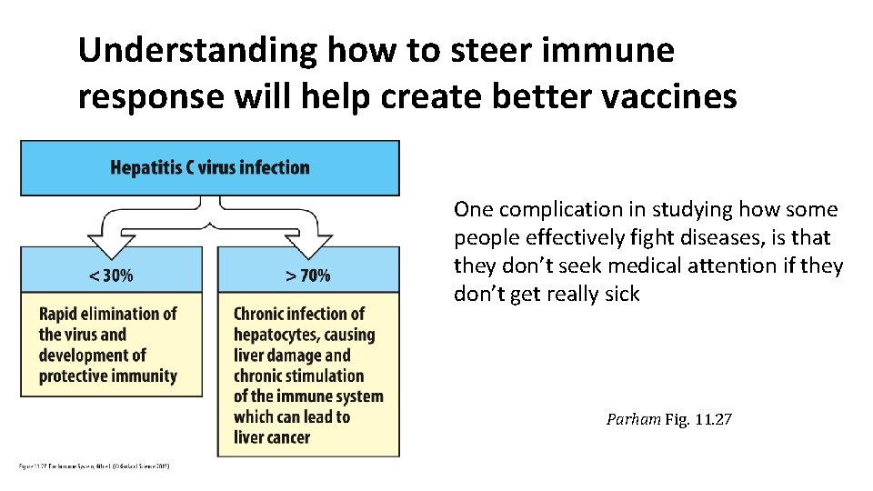 Understanding how to steer immune response will help create better vaccines One complication in