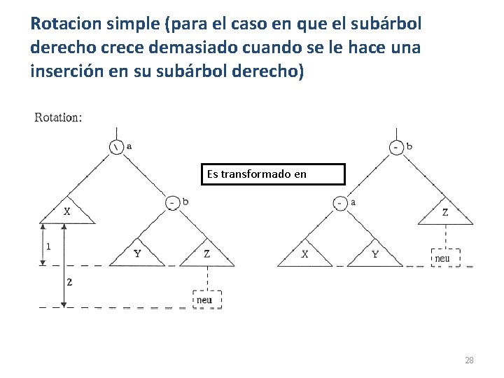 Rotacion simple (para el caso en que el subárbol derecho crece demasiado cuando se Rotacion simple (para el caso en que el subárbol derecho crece demasiado cuando se