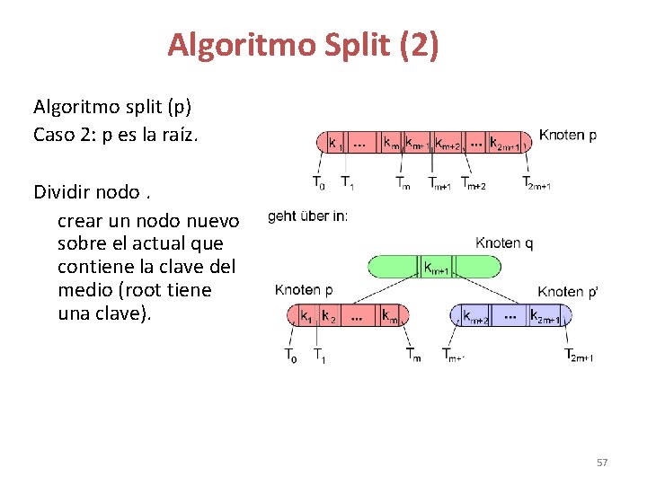Algoritmo Split (2) Algoritmo split (p) Caso 2: p es la raíz. Dividir nodo. Algoritmo Split (2) Algoritmo split (p) Caso 2: p es la raíz. Dividir nodo.