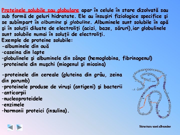 Proteinele solubile sau globulare apar în celule în stare dizolvată sau sub formă de