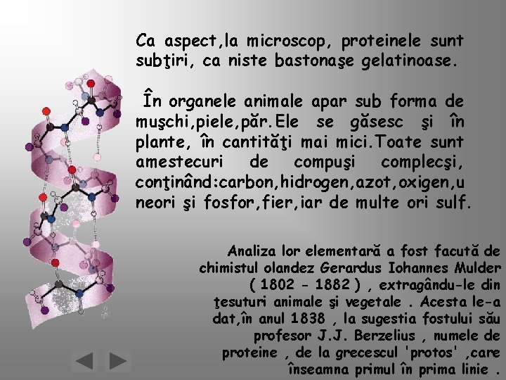 Ca aspect, la microscop, proteinele sunt subţiri, ca niste bastonaşe gelatinoase. În organele animale