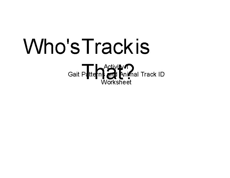 Who's. Trackis That? Activity 1 Gait Patterns and Animal Track ID Worksheet 