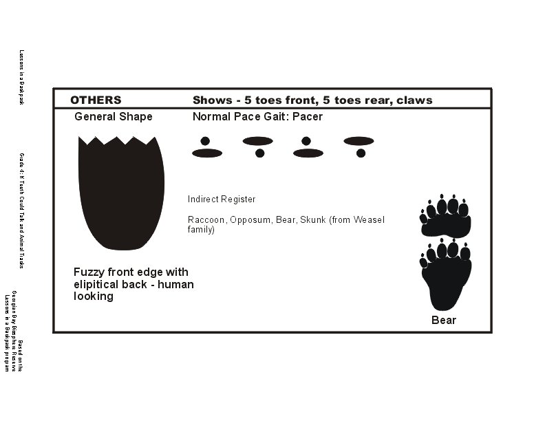 Lessons in a Backpack Grade 4: If Teeth Could Talk and Animal Tracks Based