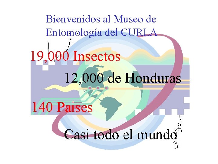 Bienvenidos al Museo de Entomología del CURLA 19, 000 Insectos 12, 000 de Honduras