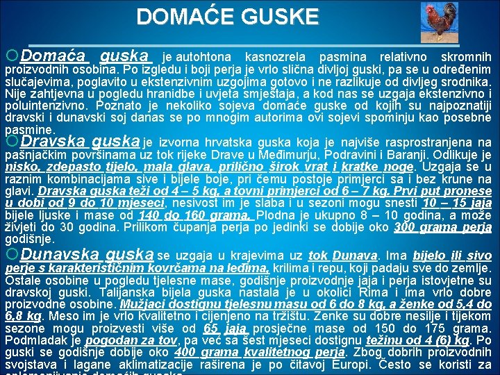 DOMAĆE GUSKE Domaća guska je autohtona kasnozrela pasmina relativno skromnih proizvodnih osobina. Po izgledu