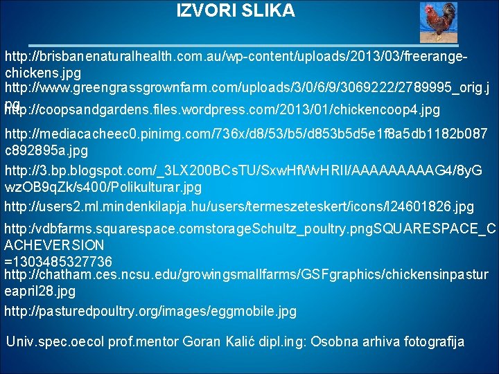 IZVORI SLIKA http: //brisbanenaturalhealth. com. au/wp-content/uploads/2013/03/freerangechickens. jpg http: //www. greengrassgrownfarm. com/uploads/3/0/6/9/3069222/2789995_orig. j pg http: