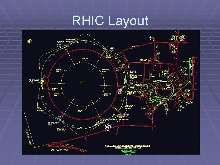 RHIC Layout 