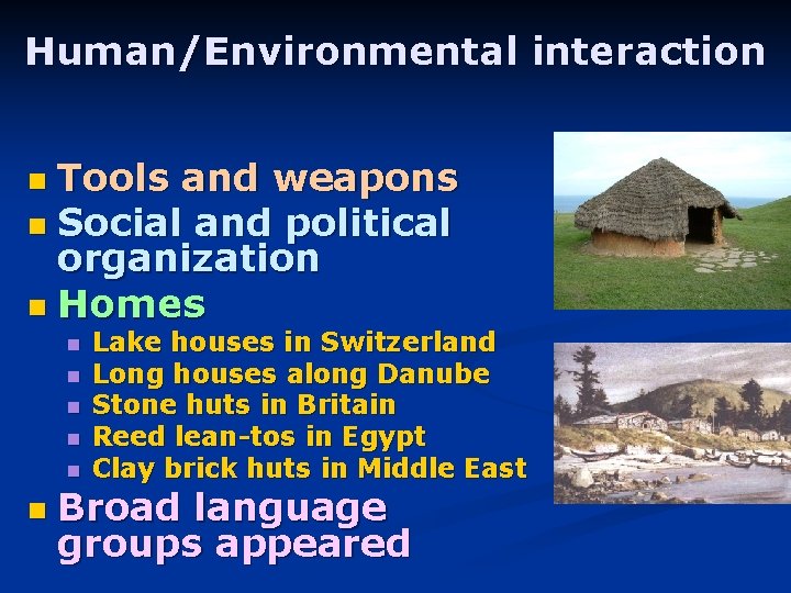 Human/Environmental interaction Tools and weapons n Social and political organization n Homes n n