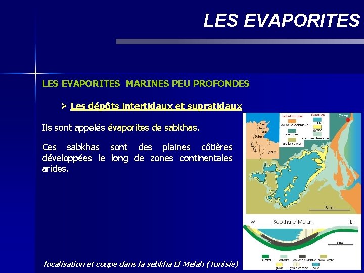 LES EVAPORITES MARINES PEU PROFONDES Ø Les dépôts intertidaux et supratidaux Ils sont appelés