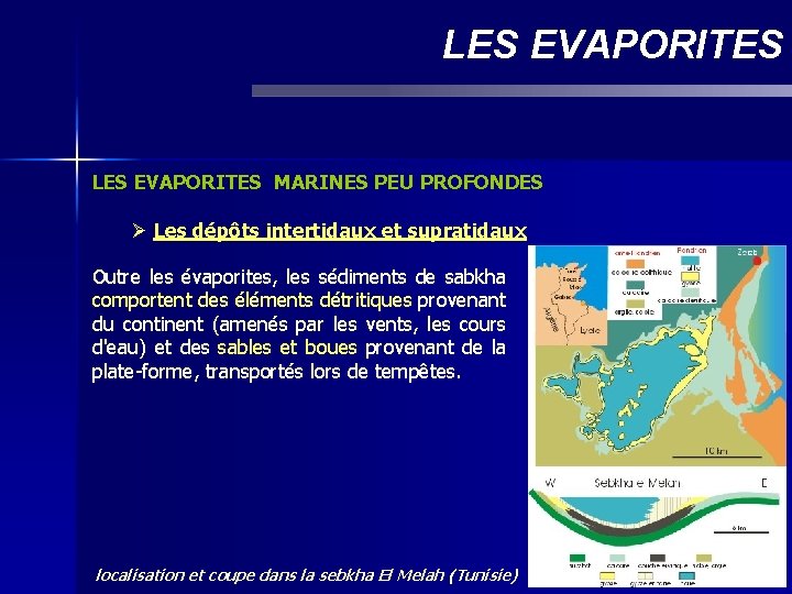 LES EVAPORITES MARINES PEU PROFONDES Ø Les dépôts intertidaux et supratidaux Outre les évaporites,