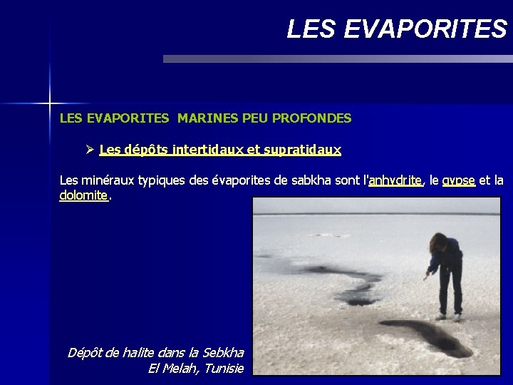 LES EVAPORITES MARINES PEU PROFONDES Ø Les dépôts intertidaux et supratidaux Les minéraux typiques